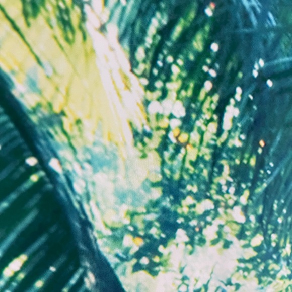 Vivid Moment Photo Backdrop - Picture 5 of 12